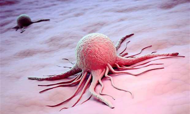 Big Hospital Finally telling the truth about Cancer, Johns Hopkins